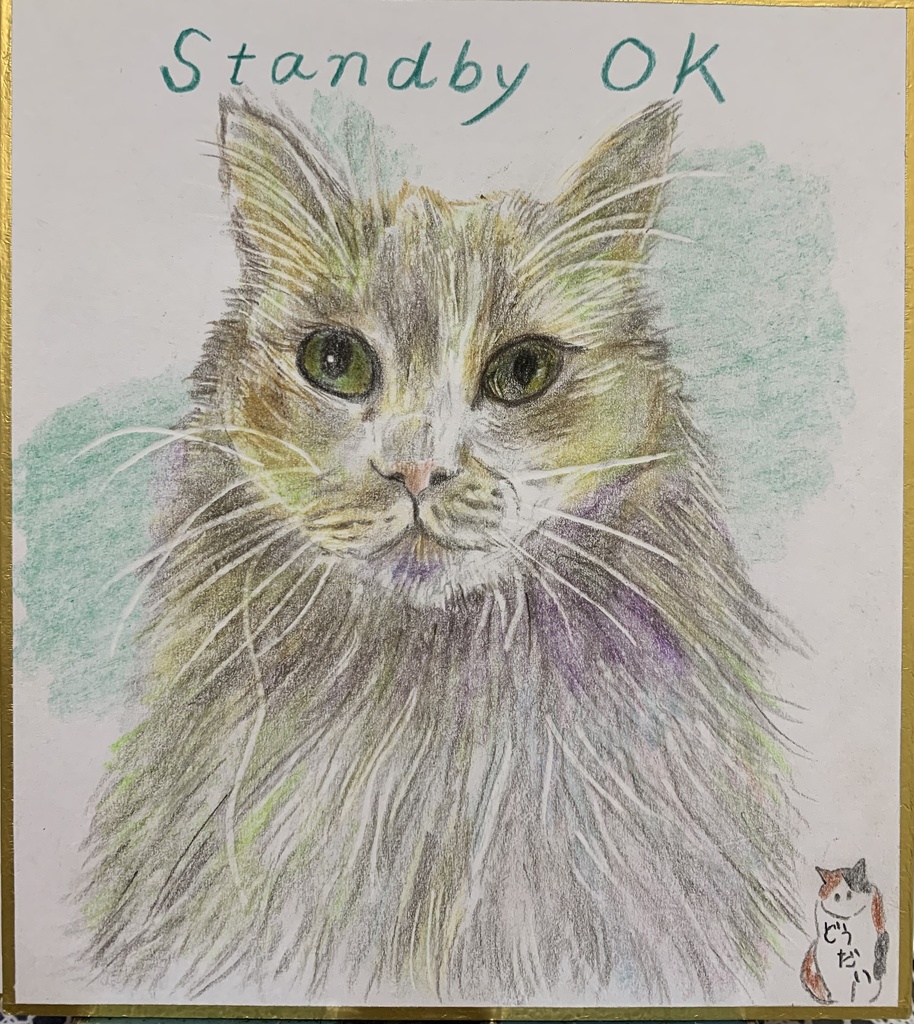 いつでもいけるよ、ねこのえ　635