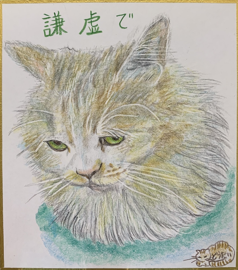 TOMATO缶 猫 原画 絵画 ドローイング イラスト ペット 新登場 - 絵画