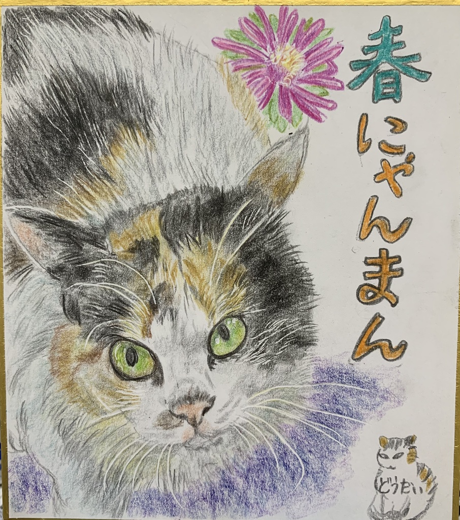 そとねこのえ　664