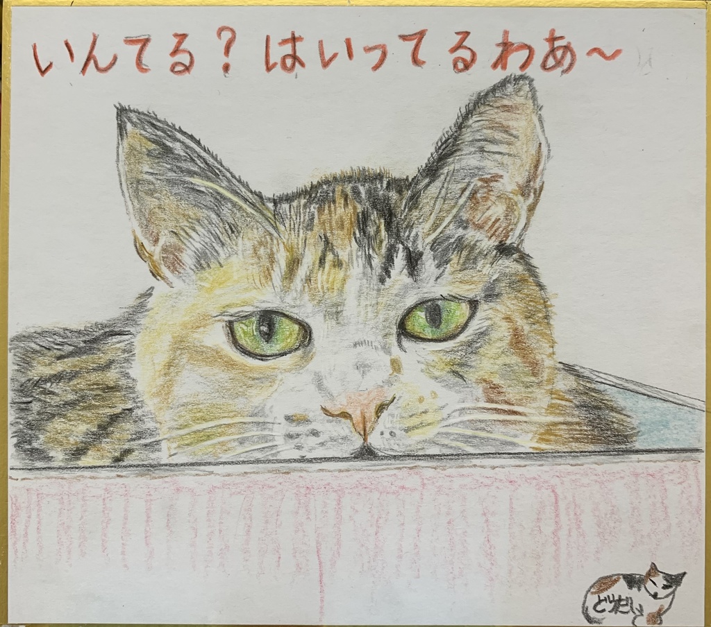 はいってるねこのえ　672