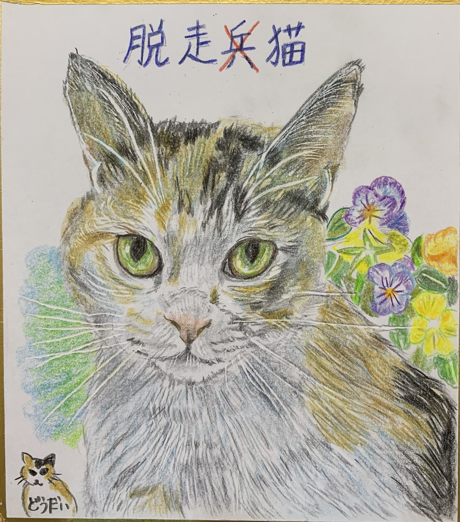 だっそうねこのえ　674