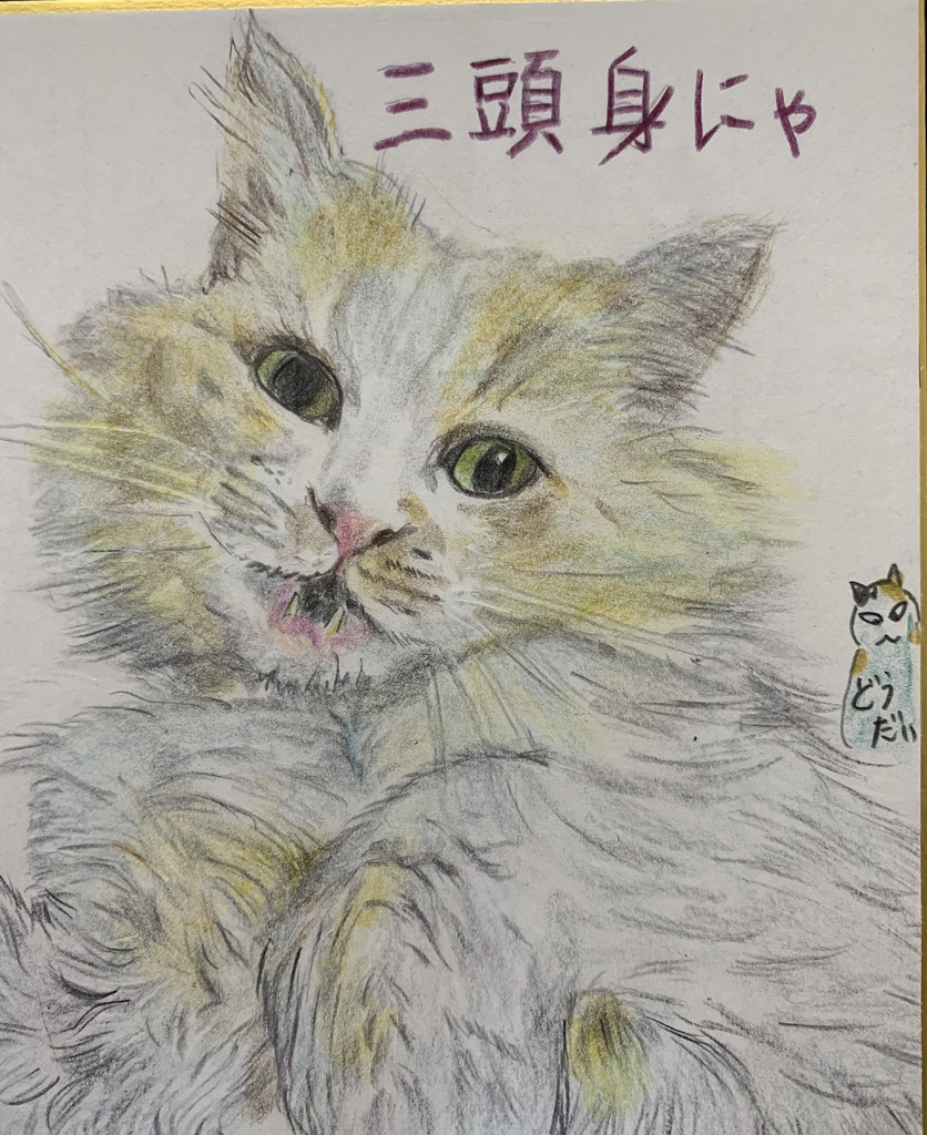 おおきなかおのねこのえ　682