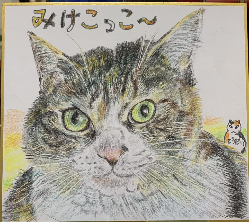 おきにゃさい、ねこのえ　687