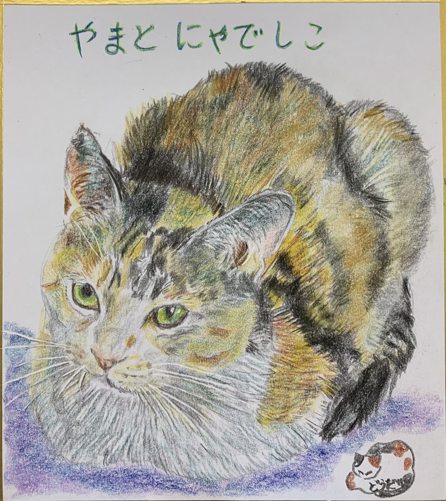 みっけにゃんねこのえ　689