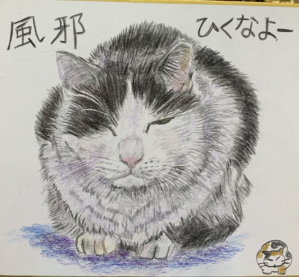 かんだんさねこのえ　701