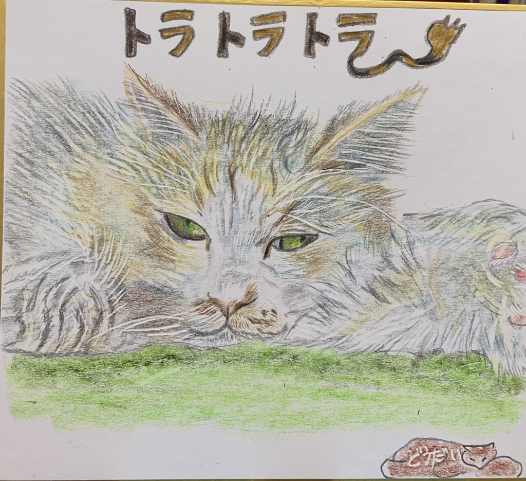 ニイタカヤマニのぼらんねこのえ　721