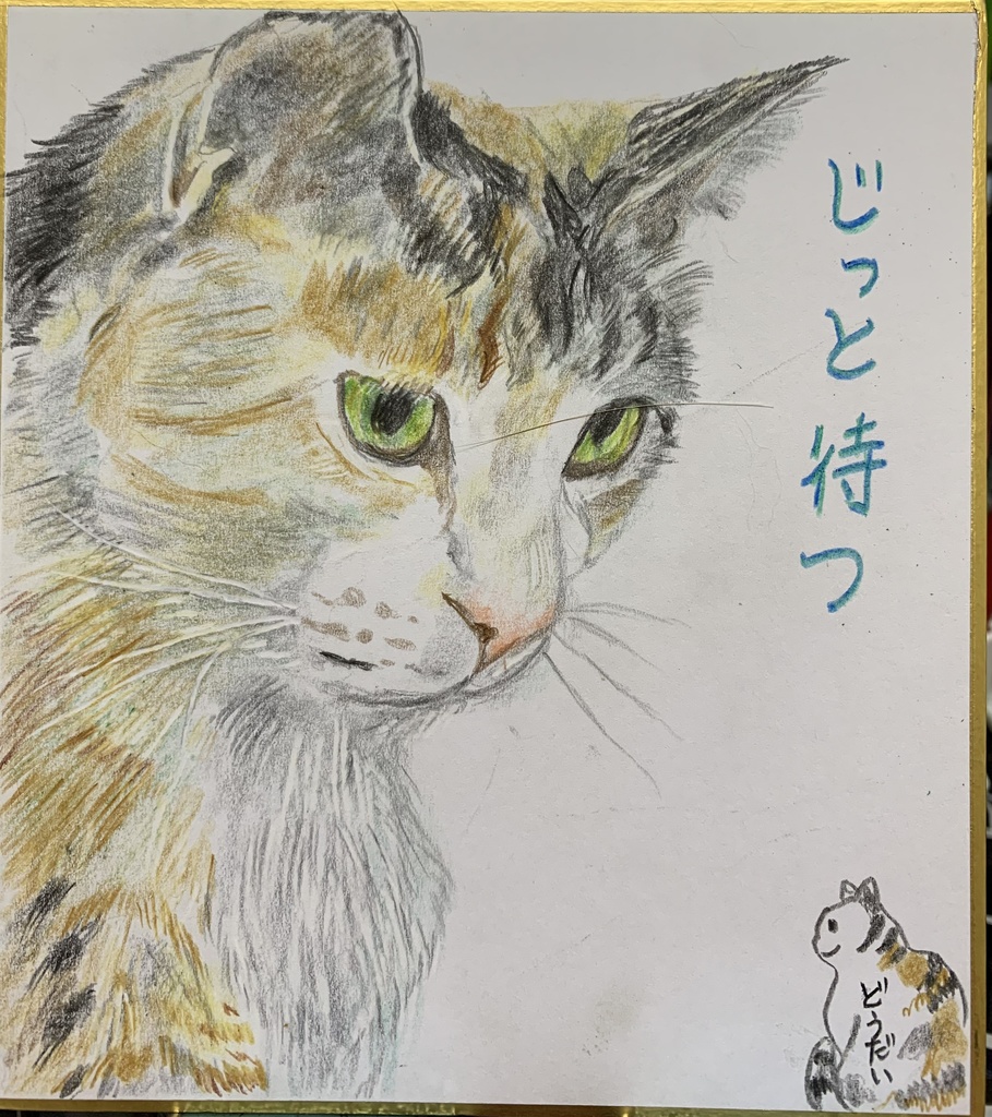 まちますねこのえ　722