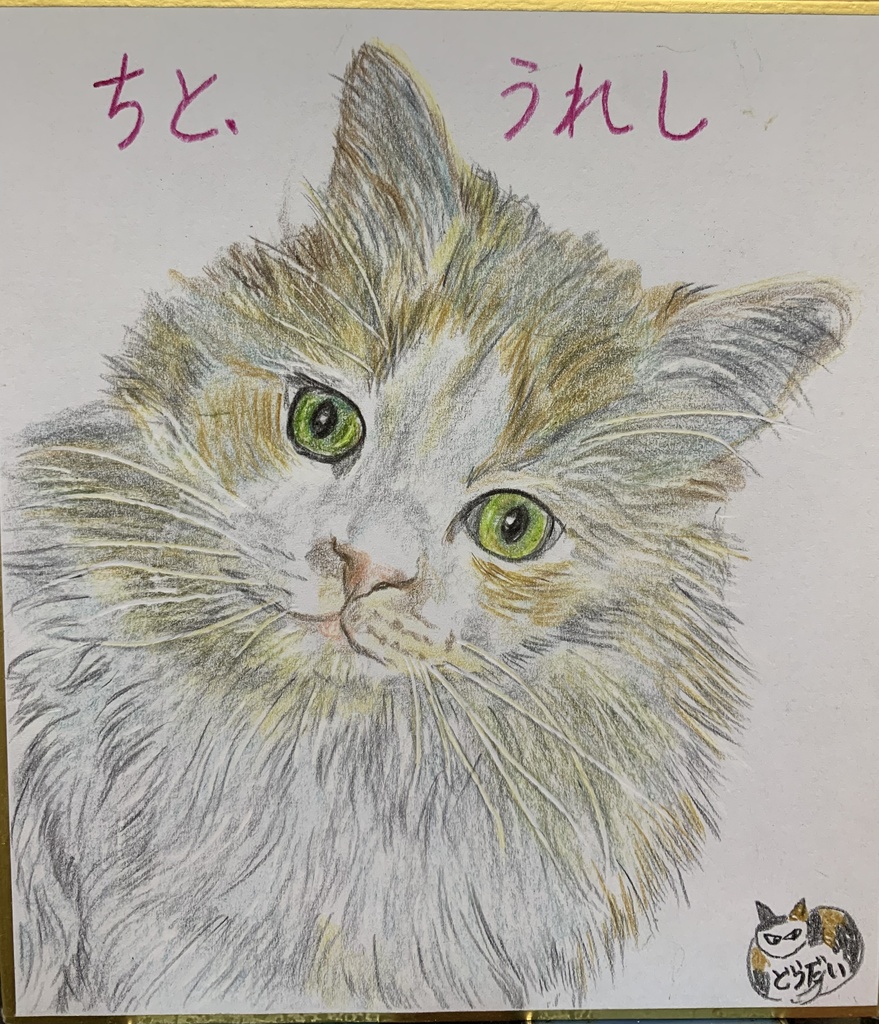 こぶんできたねこのえ　724