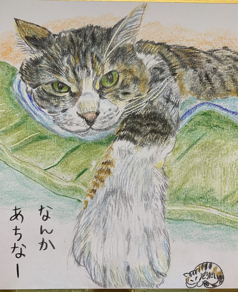 なつきたなあねこのえ　727