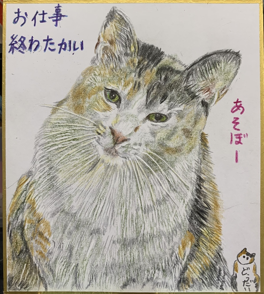 あそぽーねこのえ　729