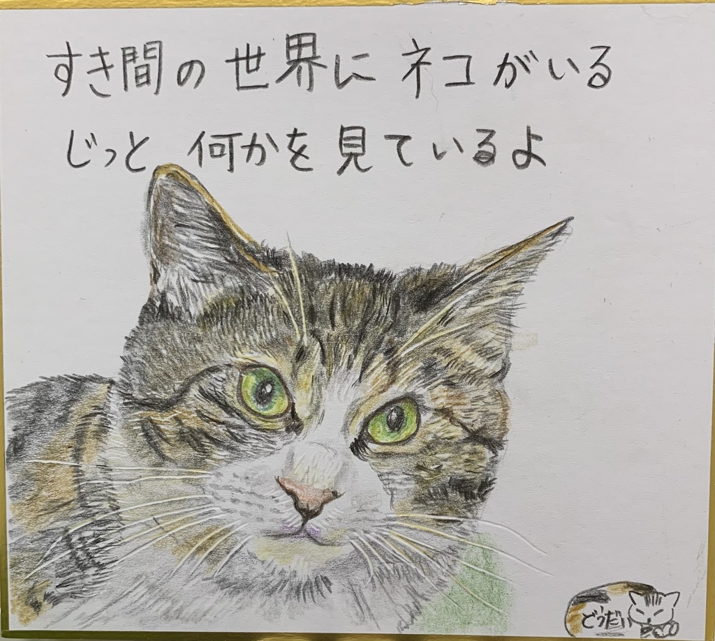 すきますきねこのえ　731