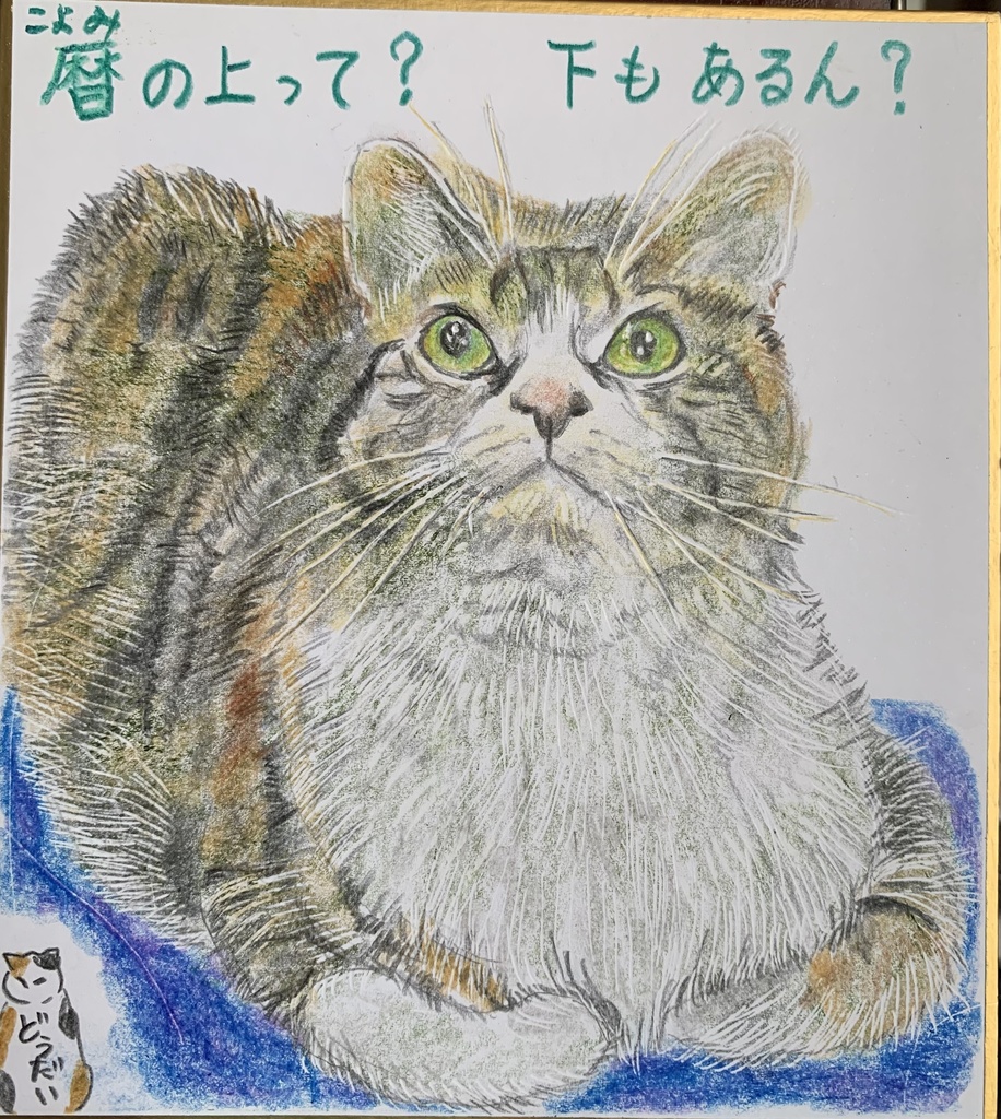 こよみのうえって？ねこのえ　741