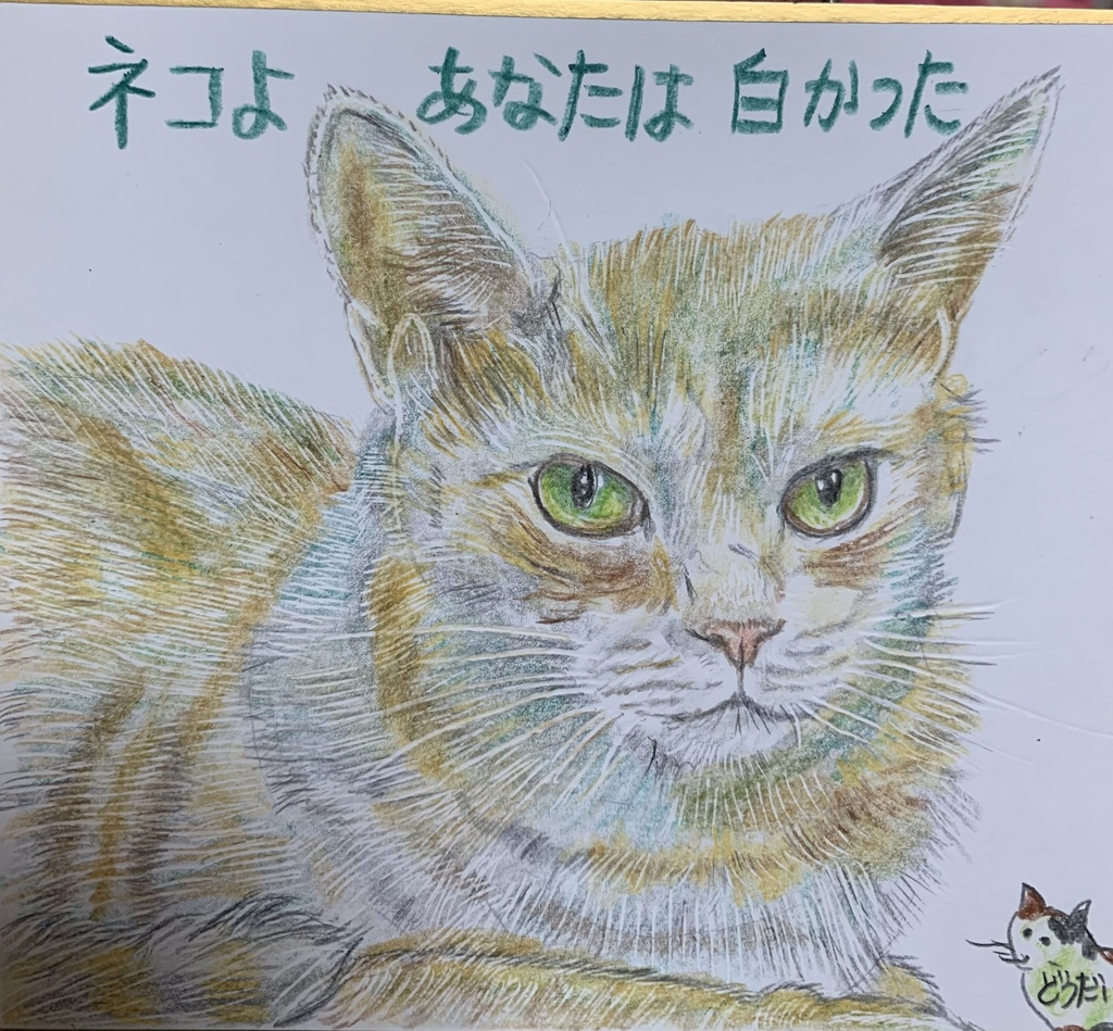 しろかったねこのえ　771