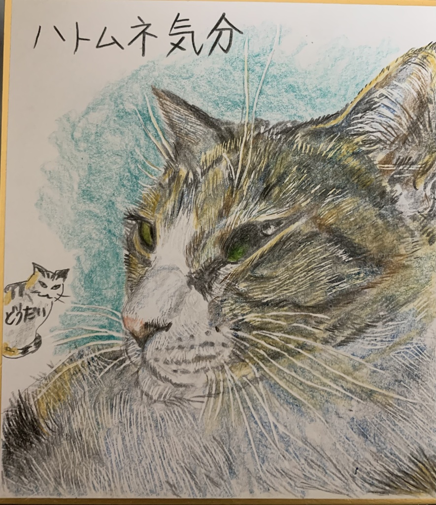 くひがないねこのえ　772