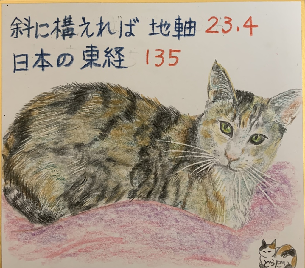 なんじゃ？ねこのえ　781