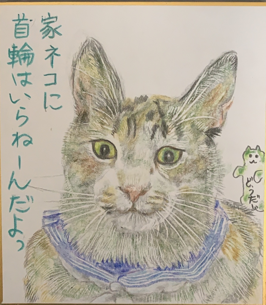 くびわきらいねこのえ　792