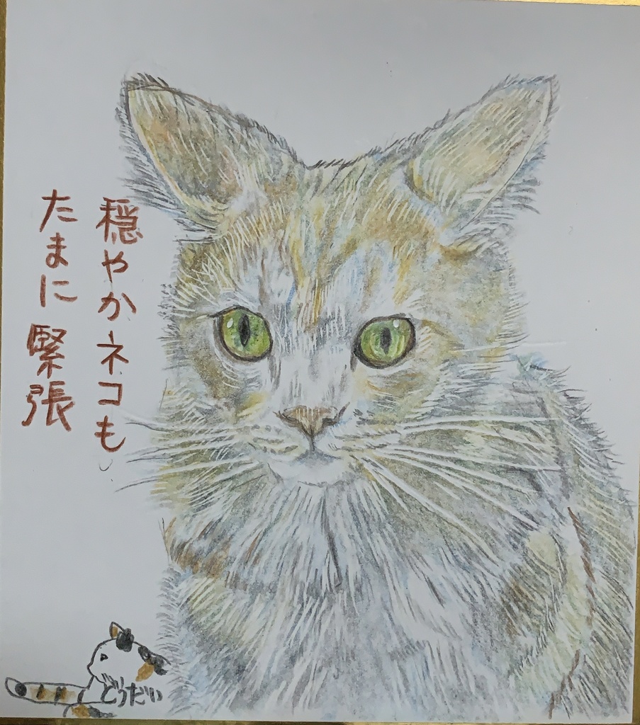 いかみみねこのえ　793