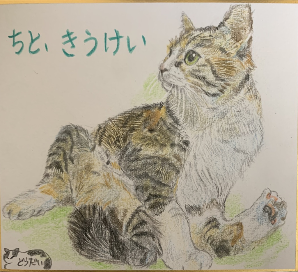 けづくろいねこのえ　825