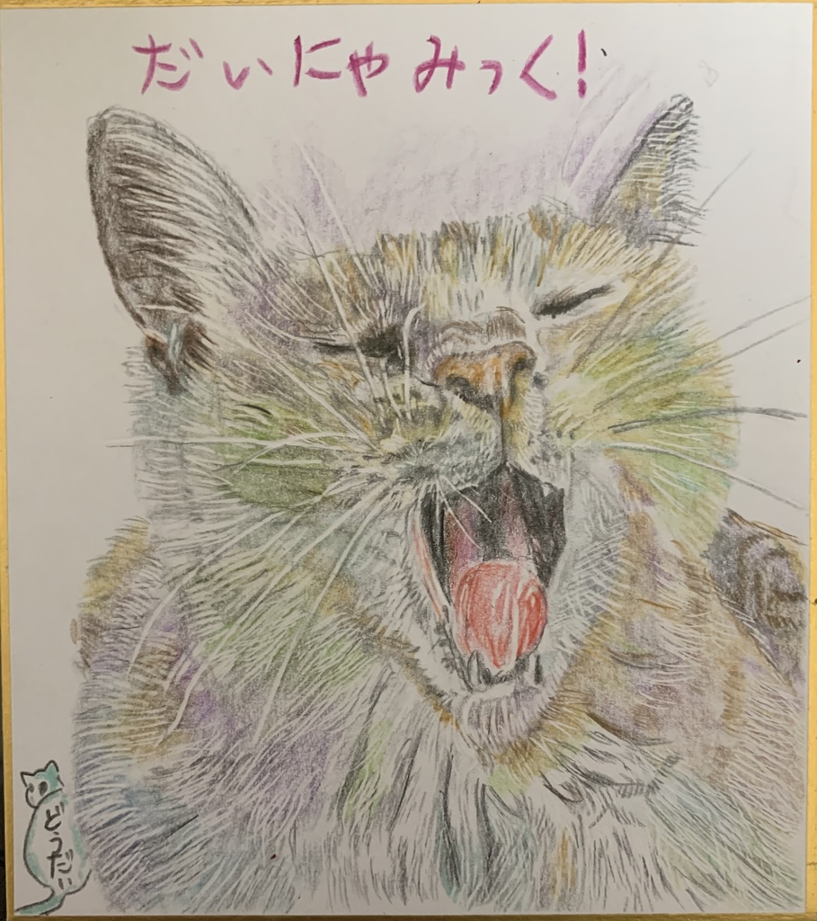 だいにゃみっくにあくびねこのえ826