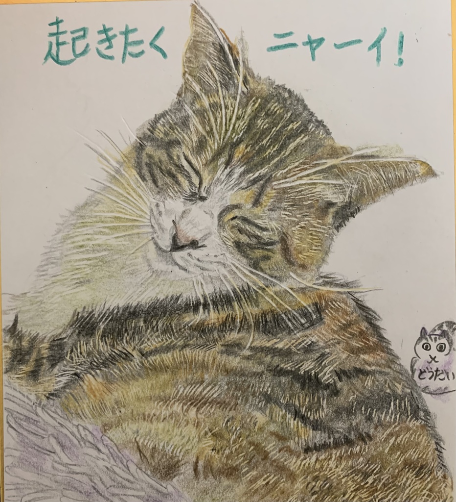 ごろんごろんねこのえ　832