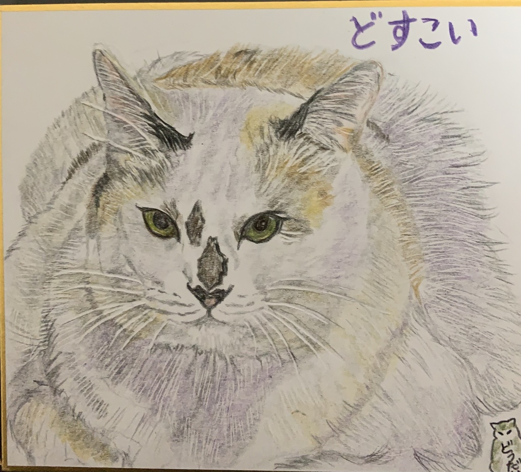 でかいねこのえ　850