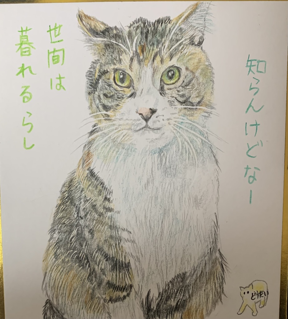 ねんまつねこのえ　866