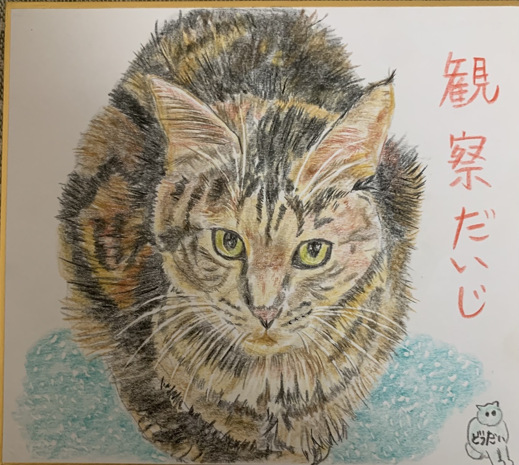 りすぺくとねこのえ　867