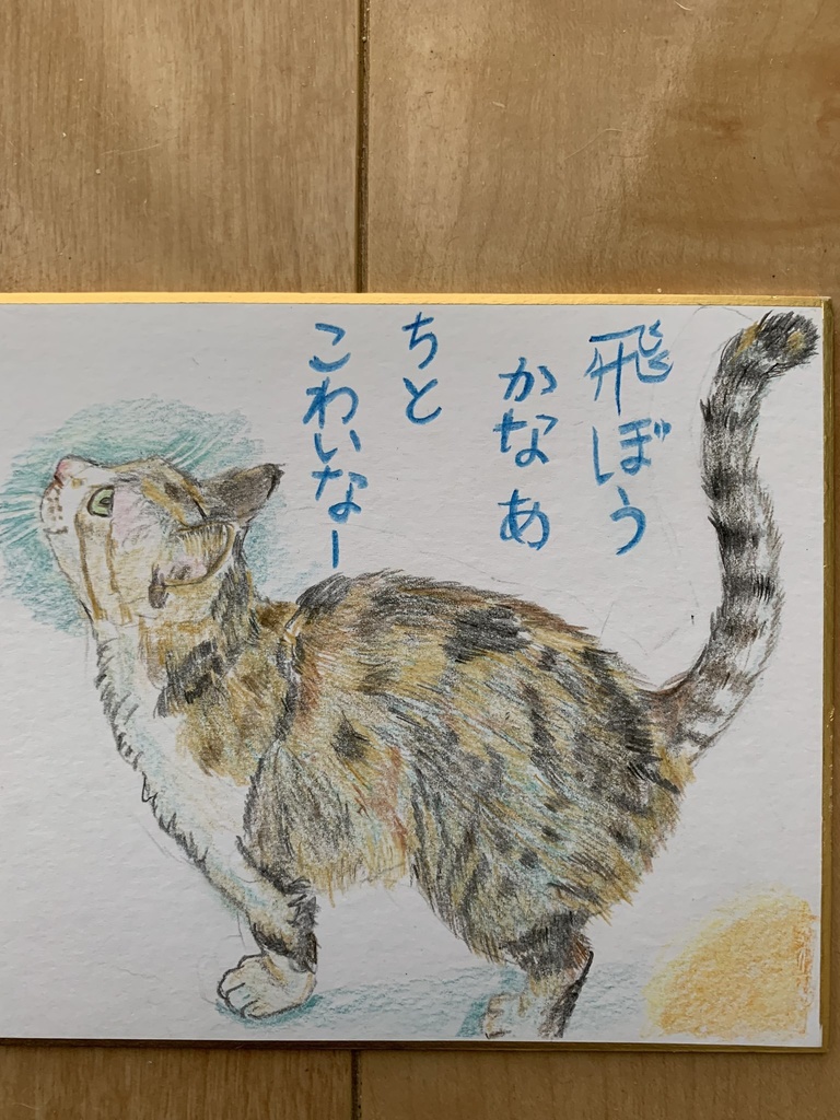 どうだいねこのえ福袋