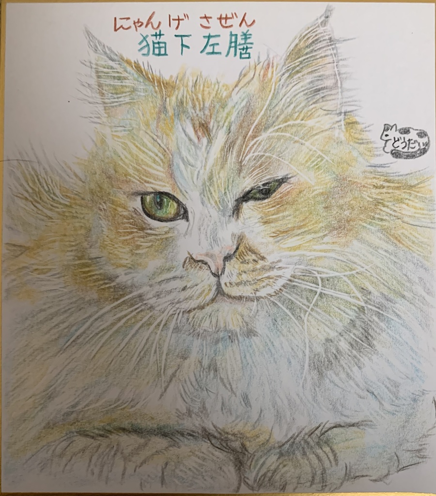 にゃんげさぜんねこのえ　872