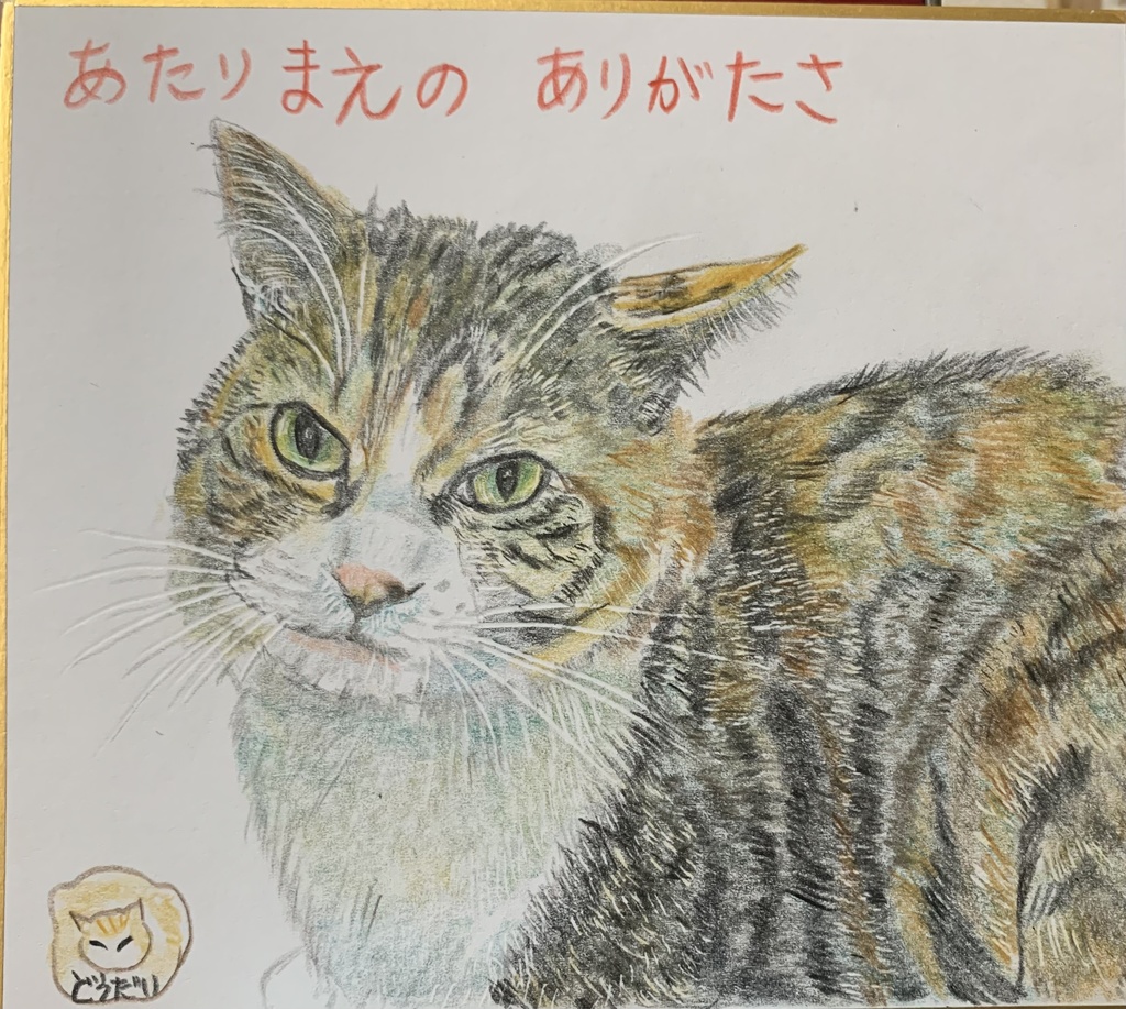 あたりまえねこのえ　874