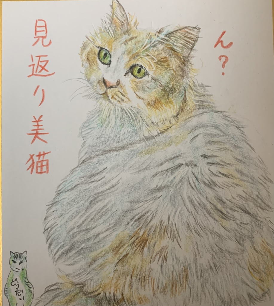 よばれてへんじねこのえ　879