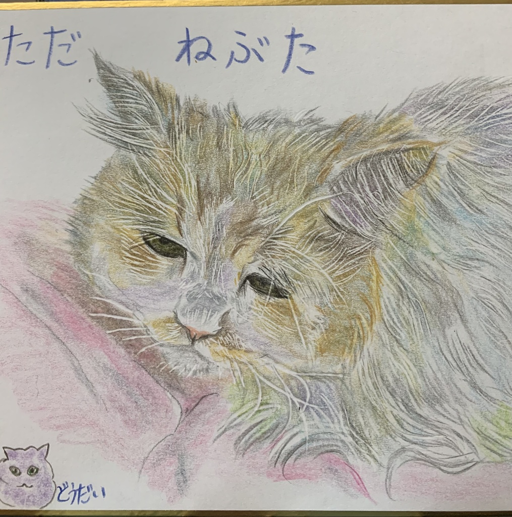 こまりがおねこのえ　882