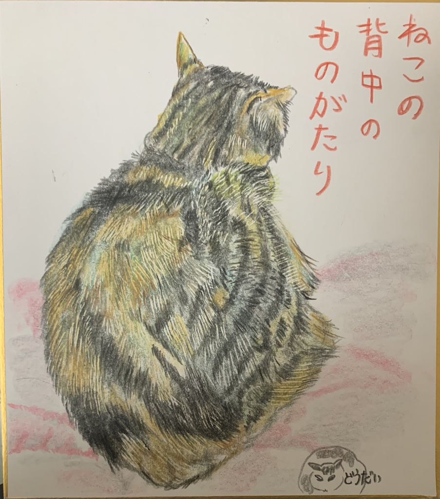 せなかものがたりねこのえ　885