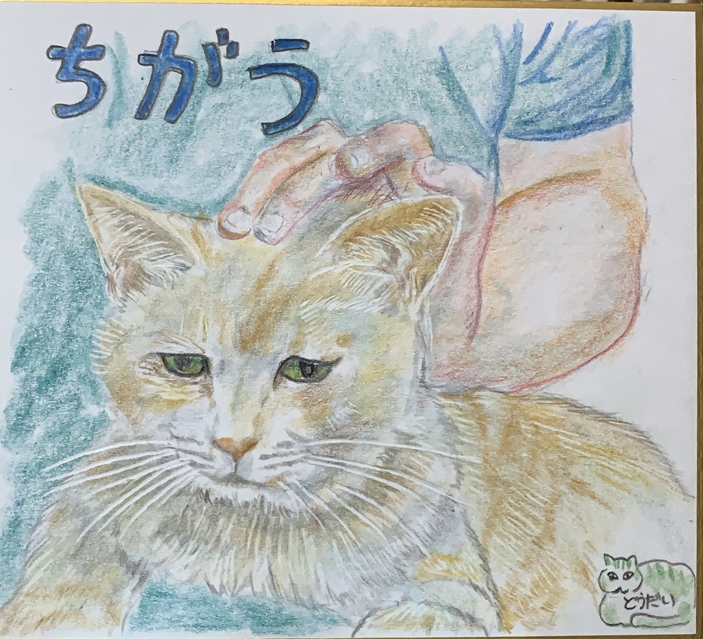 そうじゃないねこのえ　887