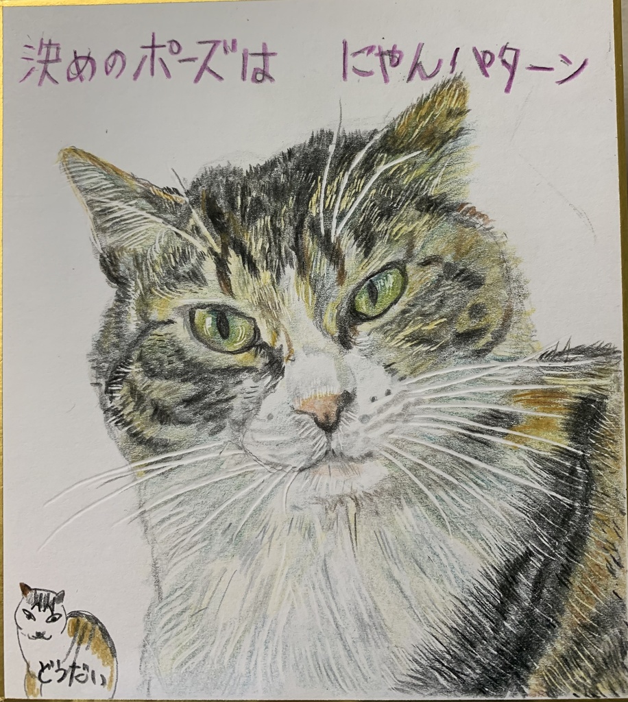 はいっ！ぽーずねこのえ　888