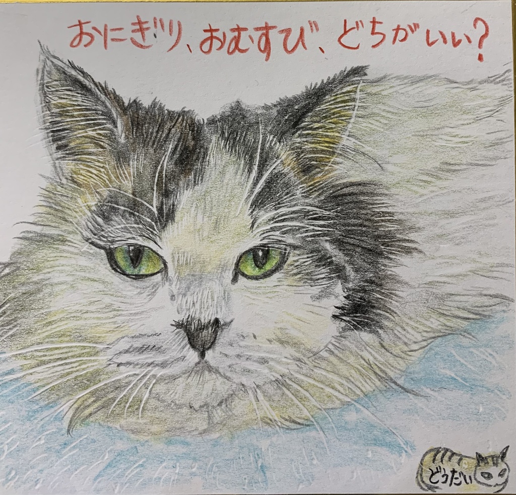 どちがいいのねこのえ　890