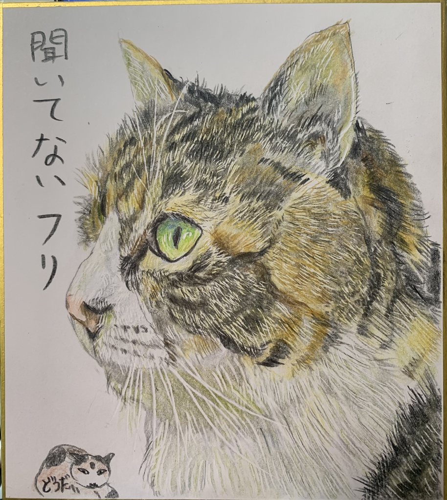 ほんとはきいてるねこのえ　895