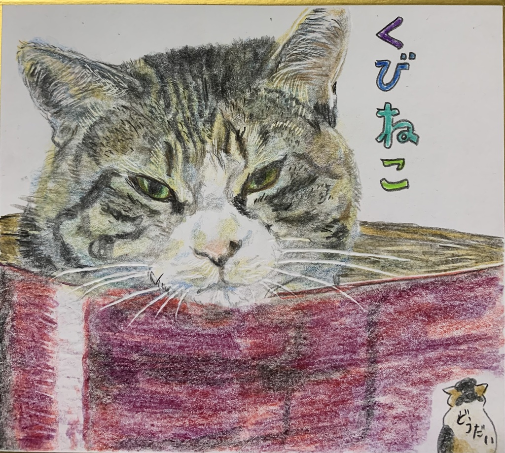 何見てるのさ　ねこのえ　904