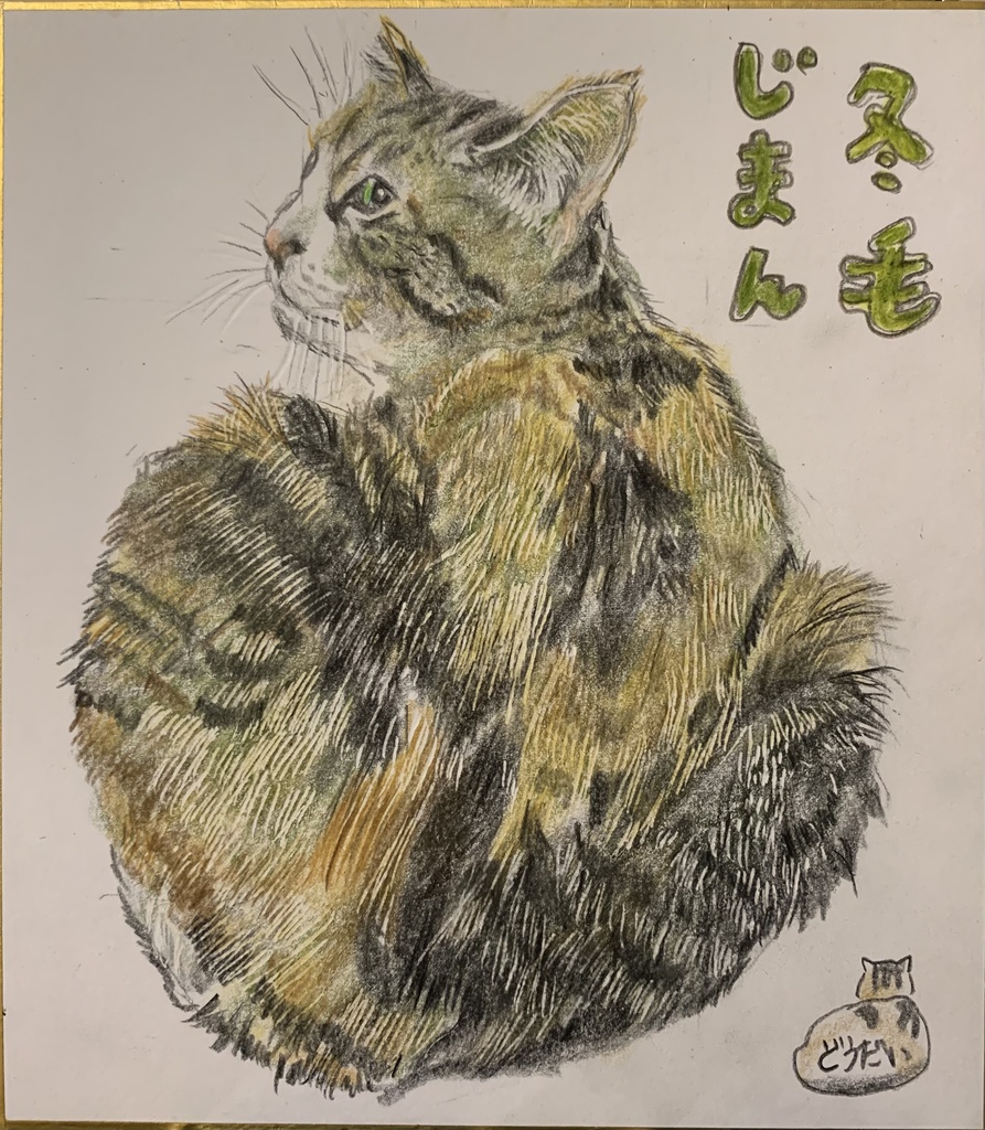 ふゆげじょうとう！ねこのえ　907