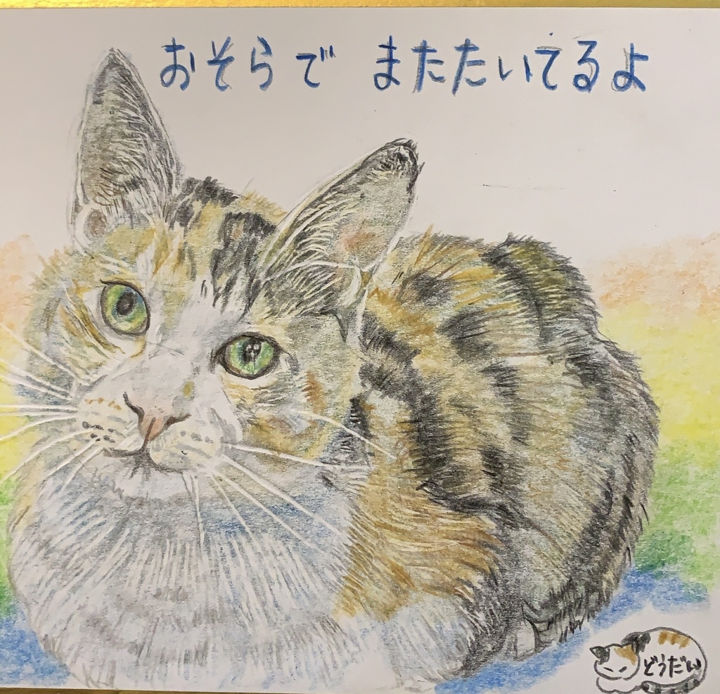 おほしさまになったねこのえ　908