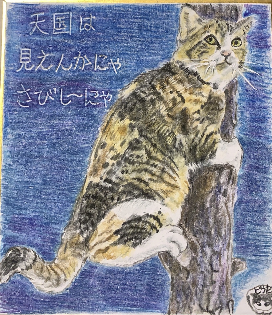 あいたいにゃーねこのえ　920