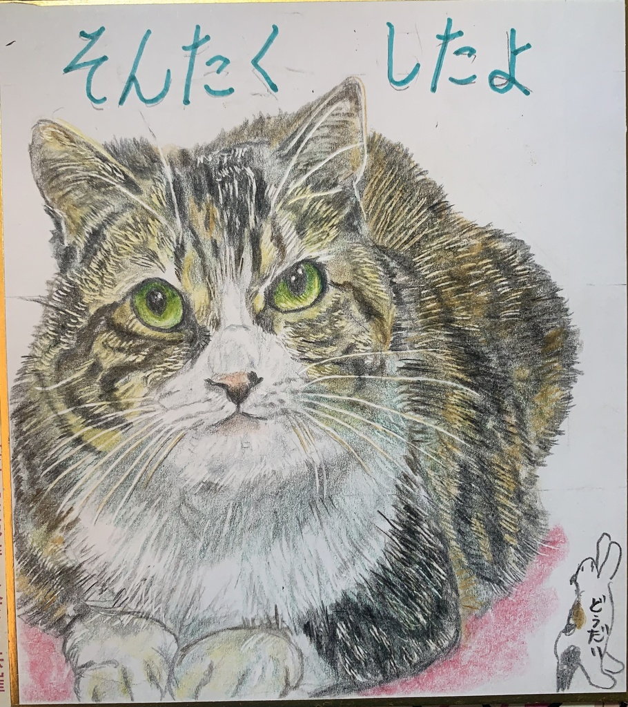 そんたくねこのえ　941