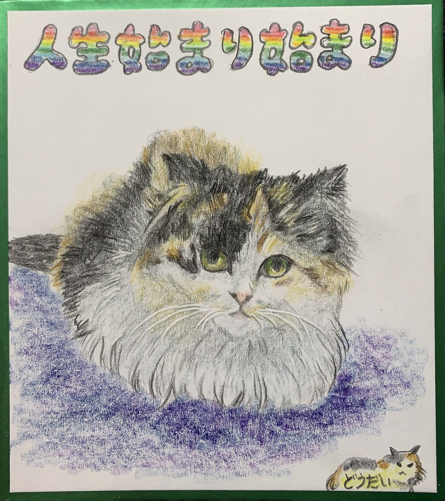 はじまったばかりのねこのえ　942