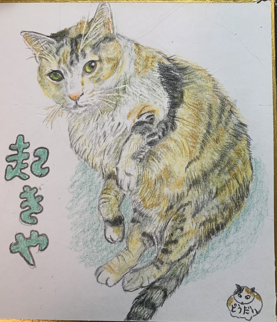 はるはあけのぽーねこのえ　948
