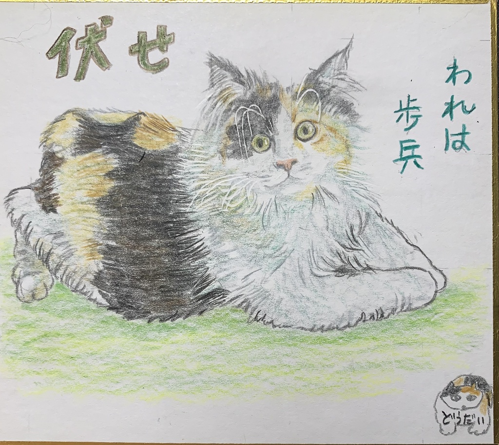 こんばっとねこのえ　972