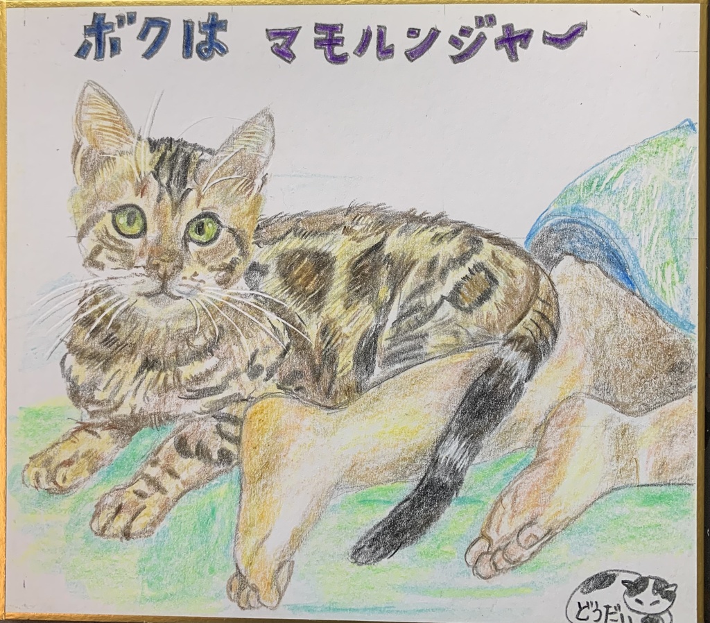 せんたいねこのえ　975
