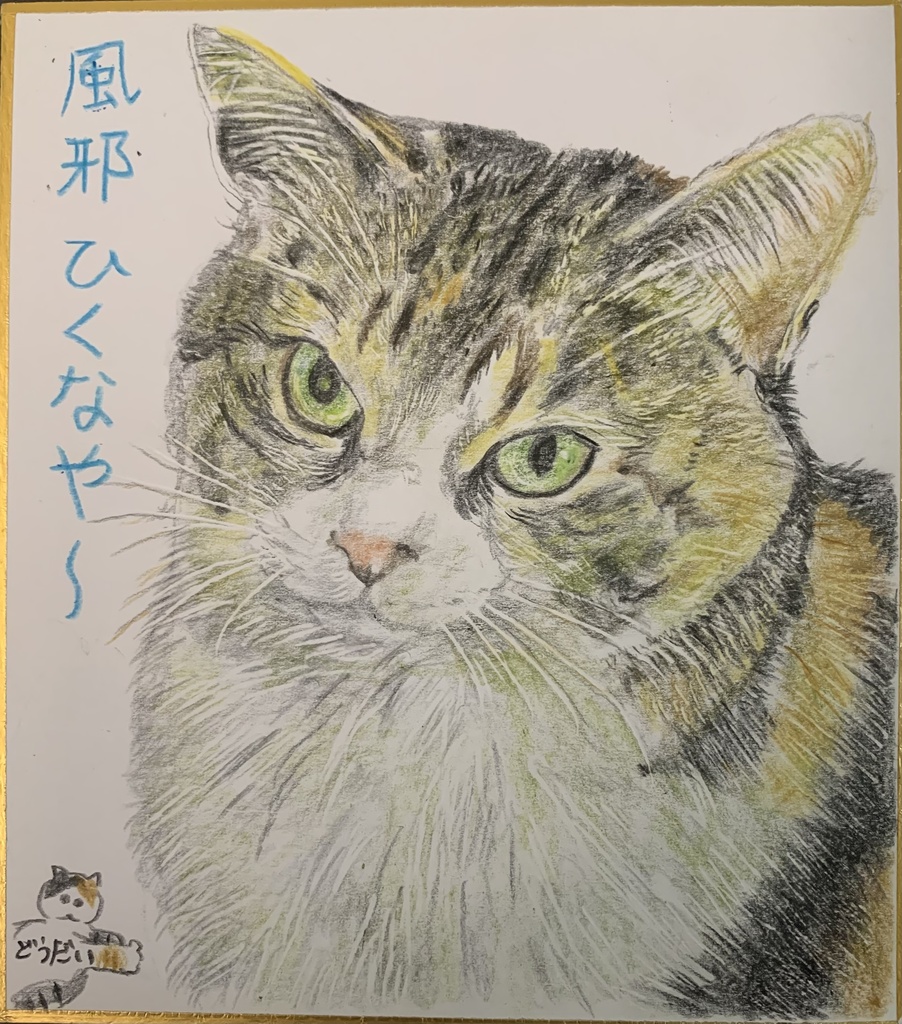 あついさぶいねこのえ　980