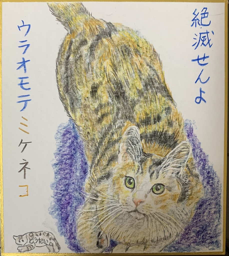 おなじもようがないねこのえ　986