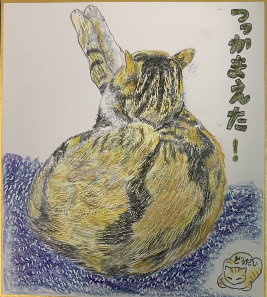 つかまえたねこのえ　987