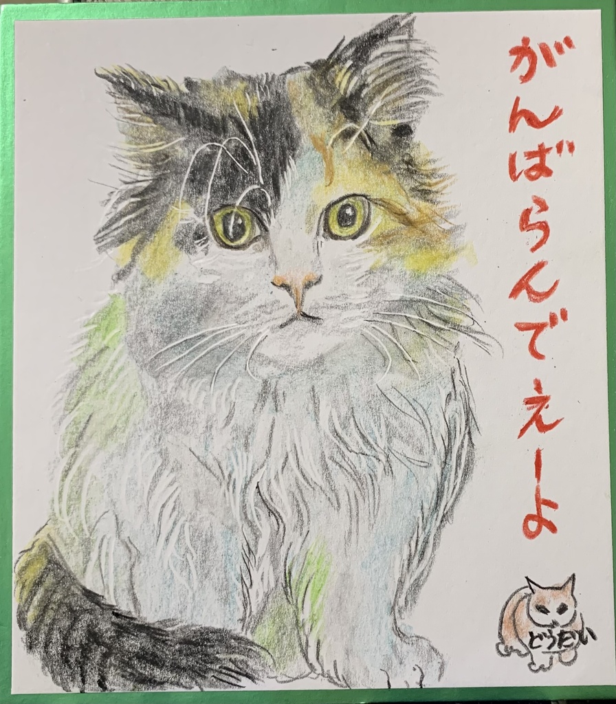 なつによわいねこのえ　1015